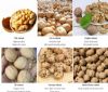 chinese walnuts